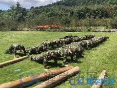 廈門軍事拓展要多少錢?
